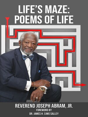 cover image of Life's Maze